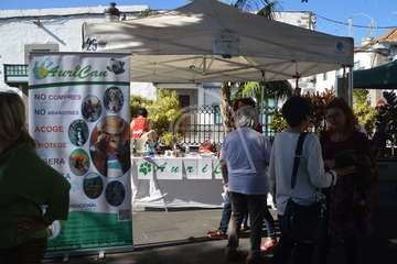I Feria de Participación Ciudadana y del Voluntariado de Telde (Foto TA)